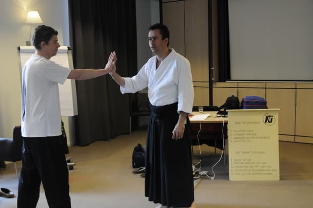 Aikido training